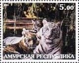 Stamp, Tiger, Cinderellas,  , Animals (Fauna), Tigers, Wild Cats
