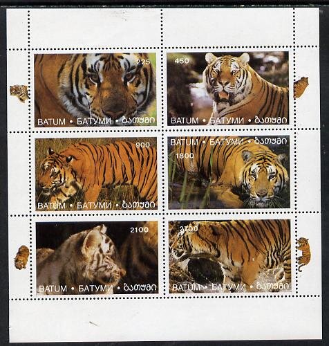 Tigers