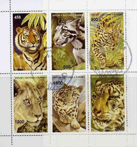 Tigers