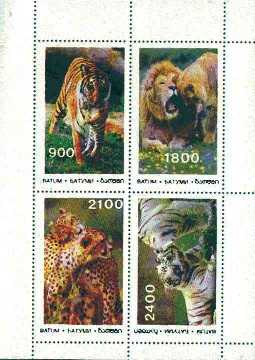 Tigers