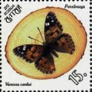 Vanessa cardui