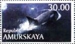 Stamp, Whale, Cinderellas,  , Animals (Fauna), Whales