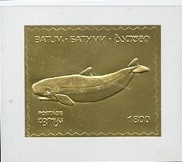Whales