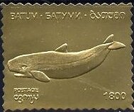 Whales