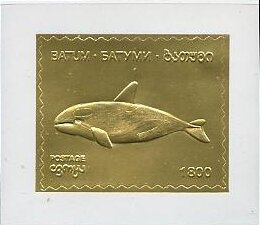 Whales