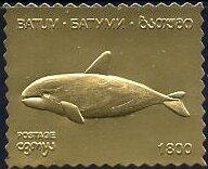 Whales