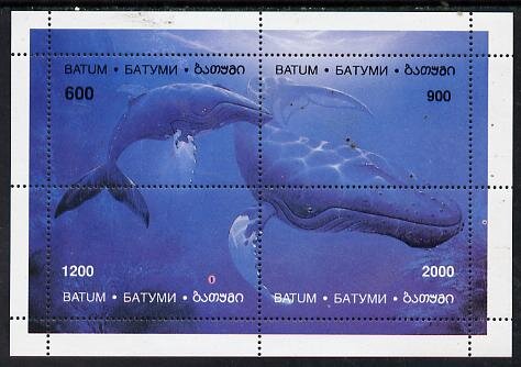 Whales