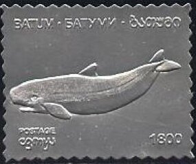 Whales