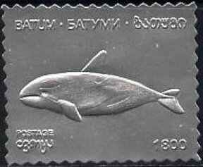 Whales