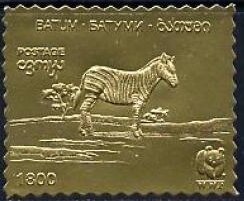 Zebra