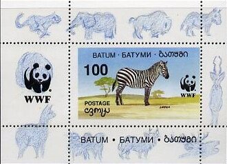 Zebra