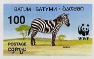 Zebra