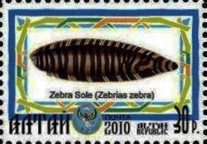 Stamp, Zebra Sole, Cinderellas,  , Animals (Fauna), Fishes