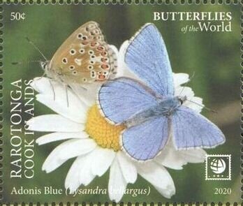 Stamp, Lysandra bellargus, Cook Islands, Rarotonga,  , Butterflies