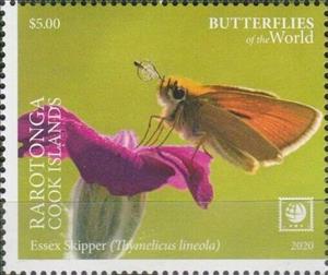 Stamp, Thymelicus lineola, Cook Islands, Rarotonga,  , Butterflies