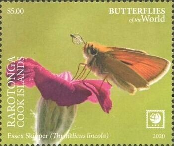 Stamp, Thymelicus lineola, Cook Islands, Rarotonga,  , Butterflies