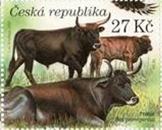 Aurochs (Bos primigenius)