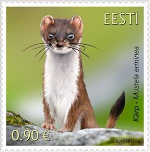 Stamp, Short-Tailed Weasel (Mustela erminea), Estonia,  , Animals (Fauna)