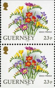 Se-tenant, Mixed Freezia (se-tenant pair), Guernsey,  , Flowers, Plants (Flora)