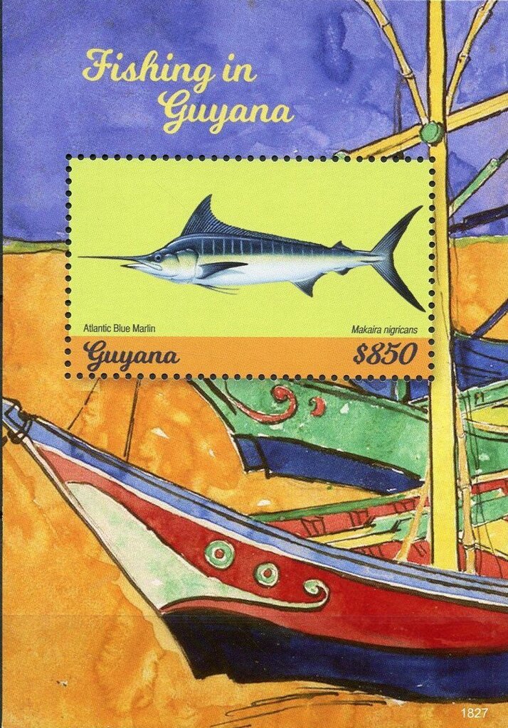 Atlantic Blue Marlin