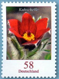Stamp, Pasque Flower  - Kuhschelle, Germany, Federal Republic,  , Flowers