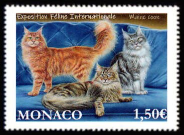 International Cat Exposition, Monte Carlo