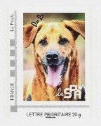 Stamp, SPA Animal Charity Beige Dog, Personalized and Private Mail Stamps,  , Animals (Fauna), Charity, Dogs, Mammals