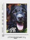 Stamp, SPA Animal Charity Black Dog 1, Personalized and Private Mail Stamps,  , Animals (Fauna), Charity, Dogs, Mammals