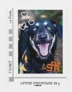 Stamp, SPA Animal Charity Black Dog 3, Personalized and Private Mail Stamps,  , Animals (Fauna), Charity, Dogs, Mammals
