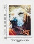 Stamp, SPA Animal Charity Spaniel, Personalized and Private Mail Stamps,  , Animals (Fauna), Charity, Dogs, Mammals