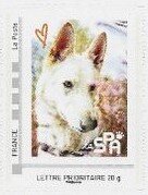 Stamp, SPA White Dog, Personalized and Private Mail Stamps,  , Animals (Fauna), Charity, Dogs