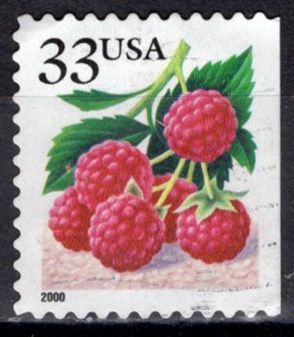Fruit Berries: Raspberries