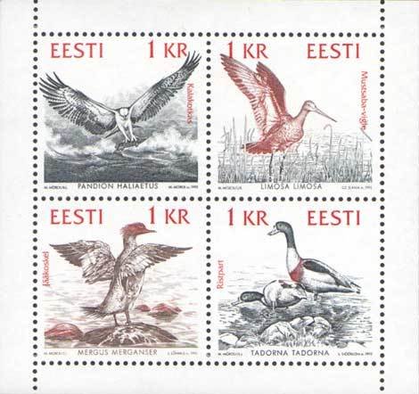 Birds of the Baltic