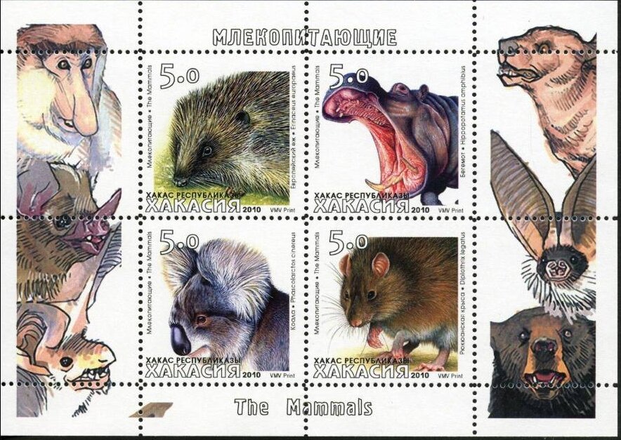Animals