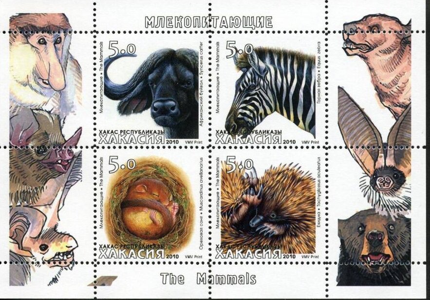 Animals