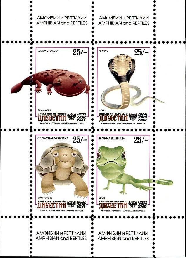 Animals