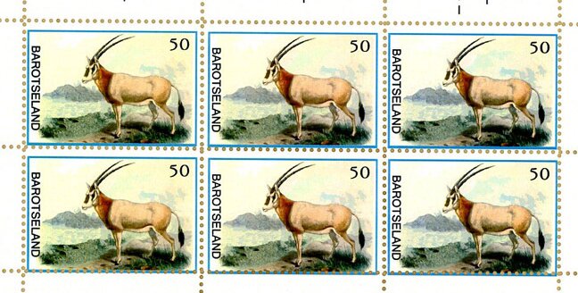 Antelope