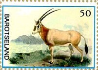 Antelope