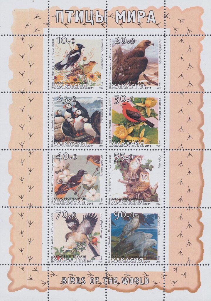 Birds