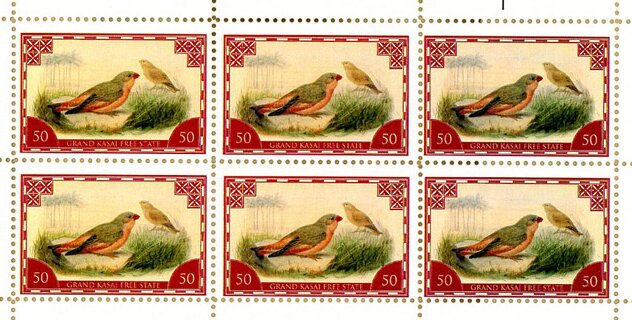 Bronze-winged courser (Rhinoptilus chalcopterus)
