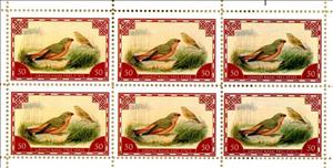 Mini Sheet, Bronze-winged courser (Rhinoptilus chalcopterus), Cinderellas,  , Animals (Fauna), Birds