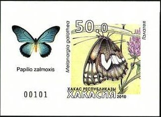 Butterflies