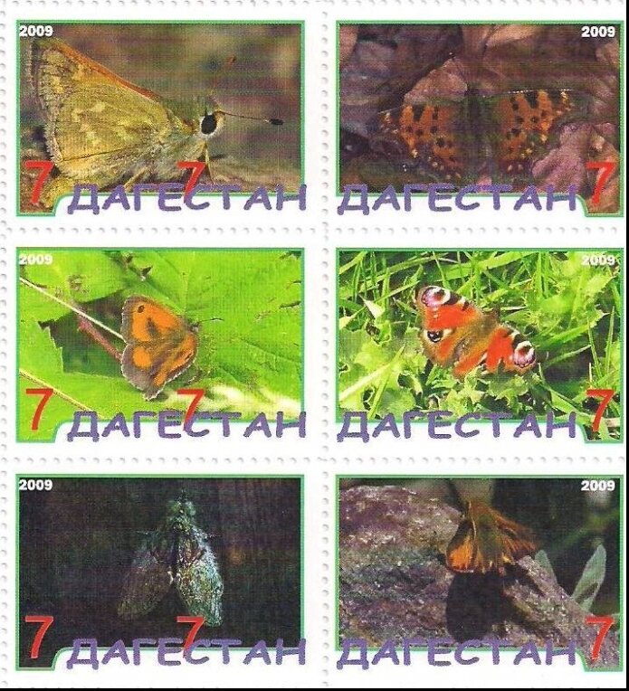 Butterflies