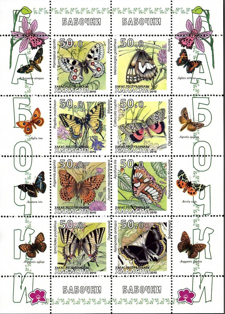 Butterflies