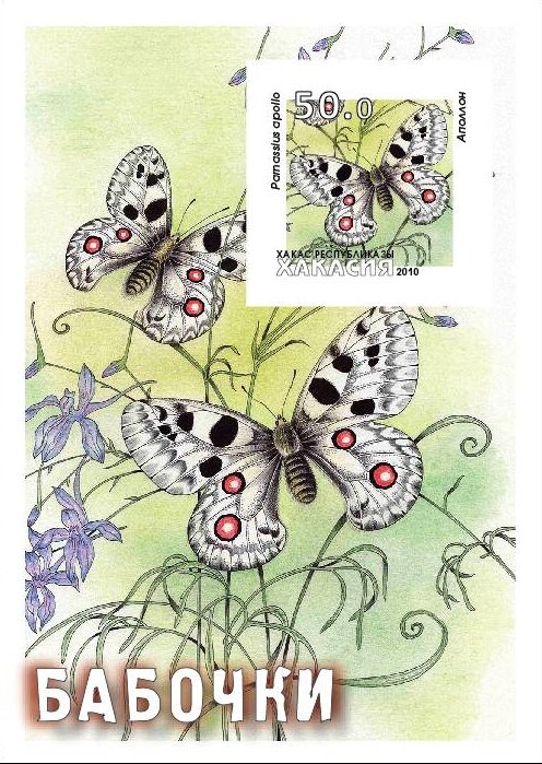 Butterflies