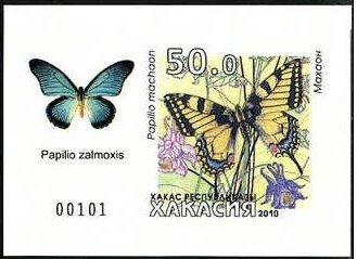 Butterflies
