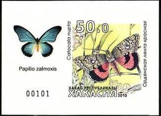 Butterflies