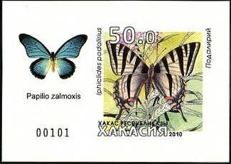 Butterflies