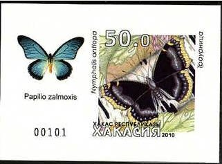 Butterflies