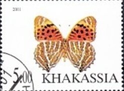 Stamp, Butterfly, Cinderellas,  , Animals (Fauna), Butterflies, Insects